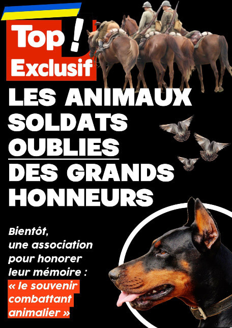animaux soldats oubliés des grands honneurs altText