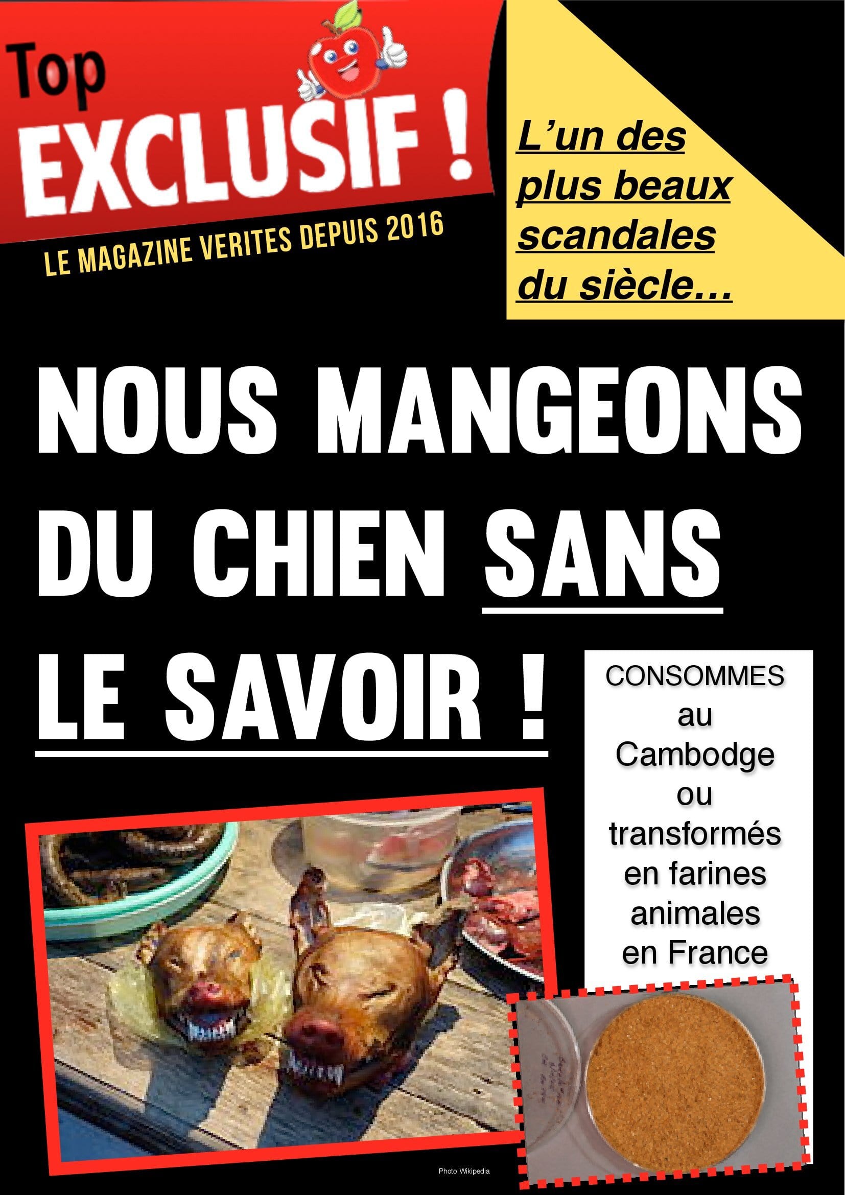 Nous mangeons du chien sans le savoir ! altText