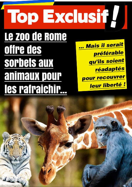 Le zoo de Rome offre des sorbets aux animaux altText