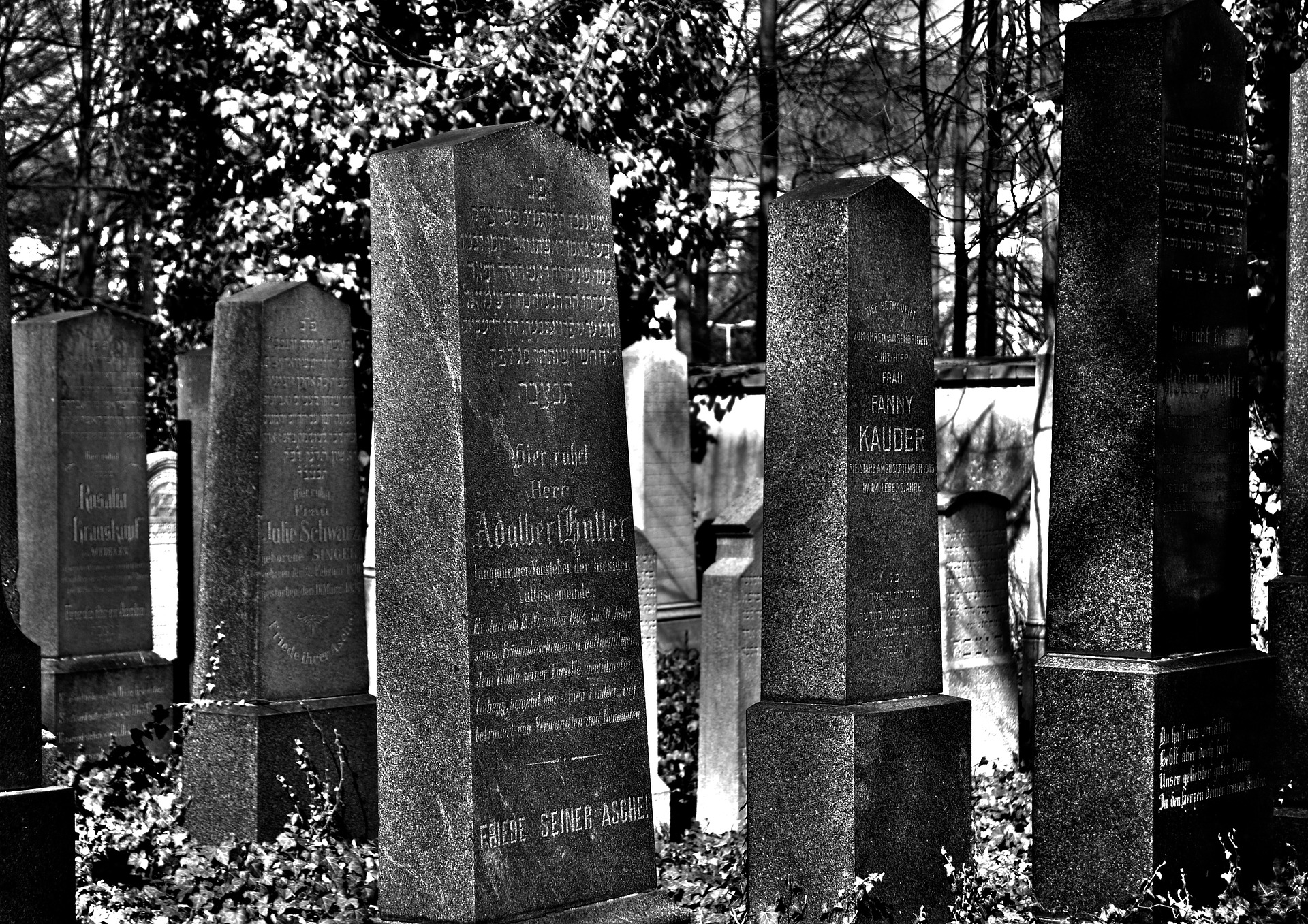 Covid : des morts suspectes, un chiffre sans doute surévalué... altText