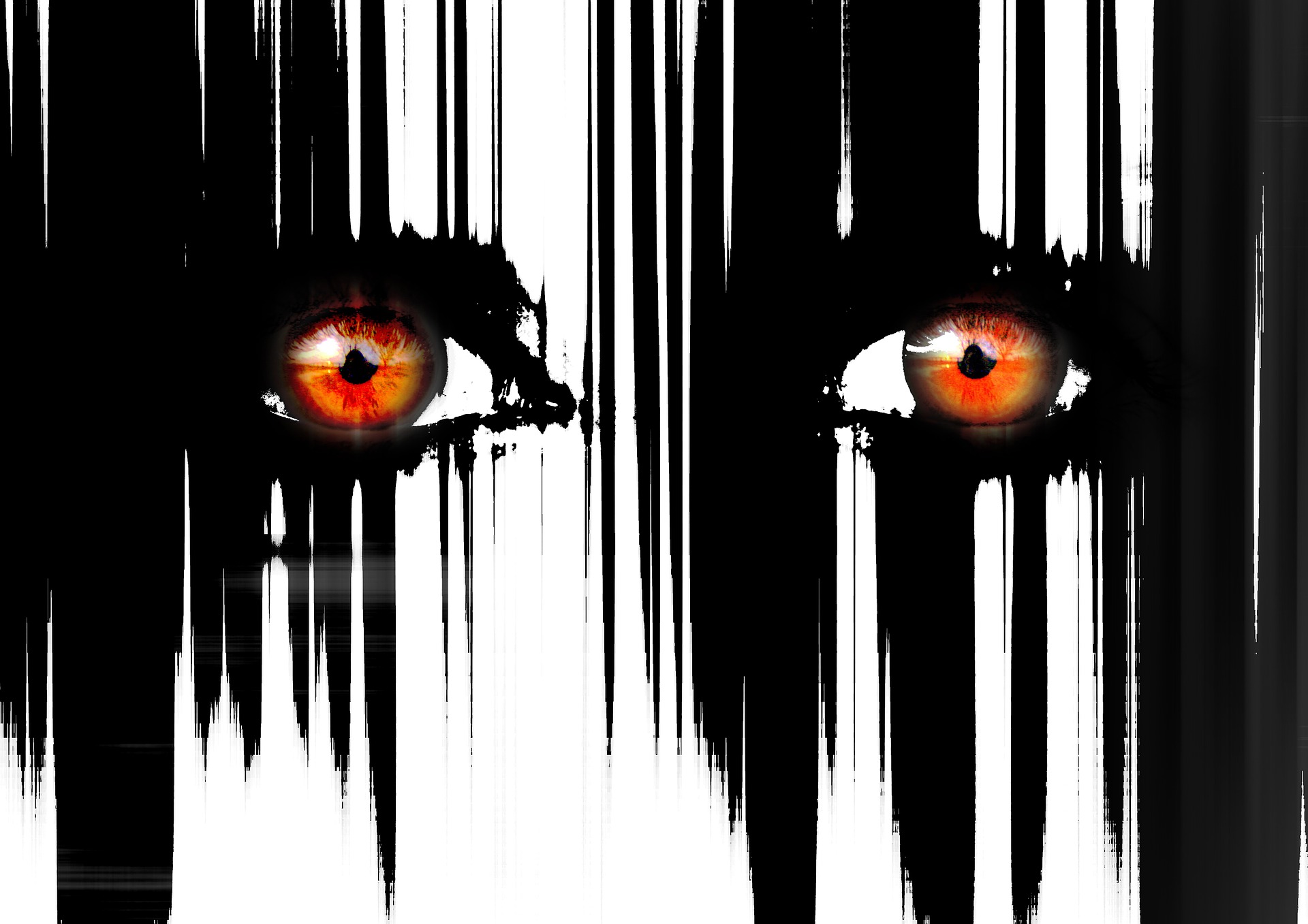 eyes-730749_1920 altText